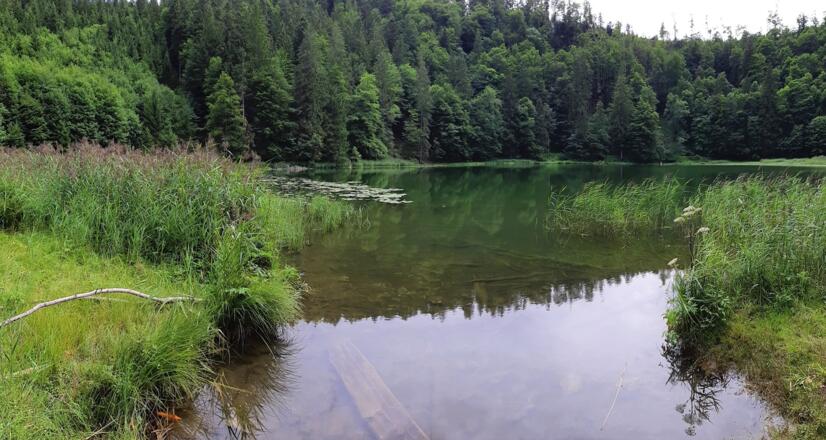 Filblingsee 1