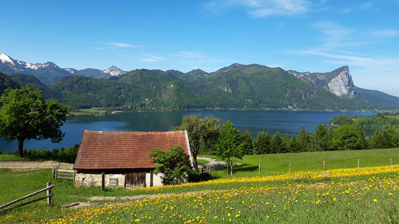 Landschaft