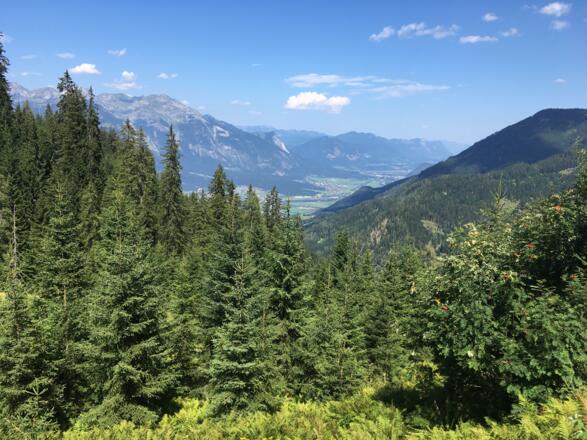 Obwohl bei der Auffahrt der Wald ein prägendes Element ist, gibt es immer wieder schöne Aussichtspunkte ins Inntal.