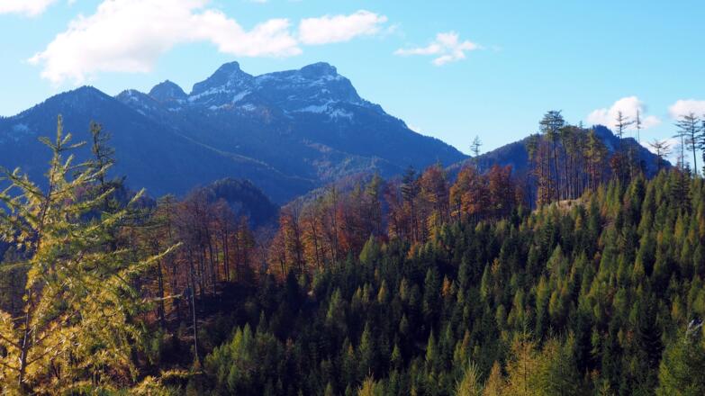 Schafbergblick ca. 840m