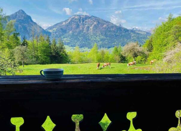 Am Buchberghof