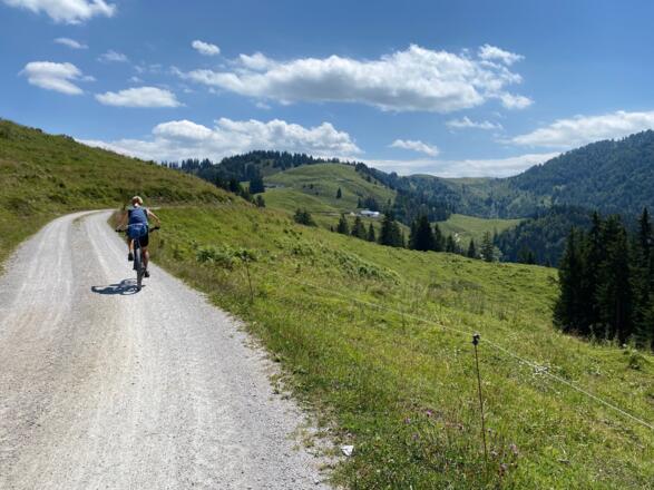 Ein nicht zu steiler Güterweg leitet hinauf zu den aussichtsreichen Almwiesen.