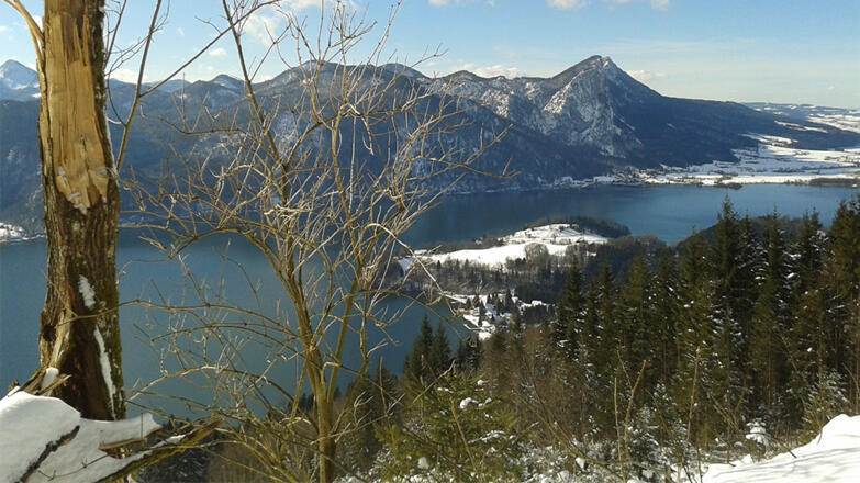 Blick auf den Mondsee