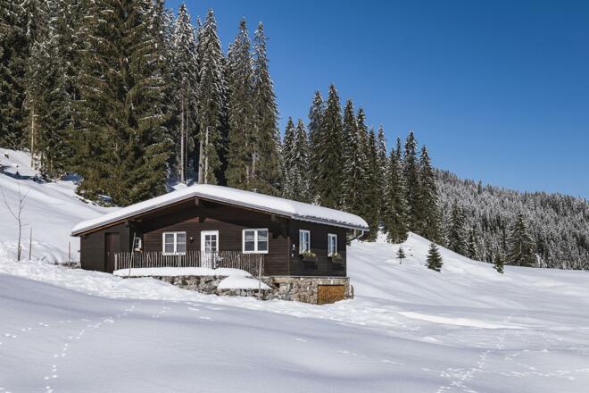 Winter_o_Zaun_01_1500