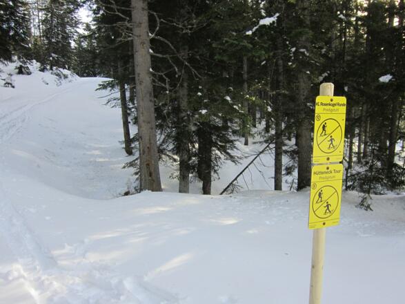 Schneeschuh- bzw. Skitourentour - Hütteneck in Bad Goisern am Hallstättersee