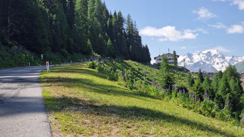 vor dem Gepatsch-Stausee