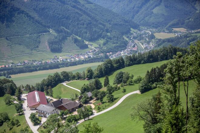 Ferienhof Prenn - Reichraming