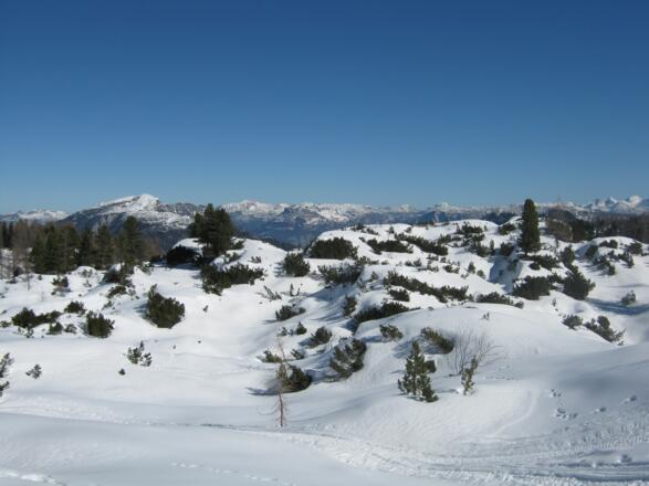 Dachstein Krippenstein