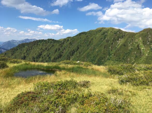 Besonders in den Herbstmonaten entwickelt sich die Landschaft zu einer schönen Farbenpracht (hinten der Gipfel des Proxenstand).