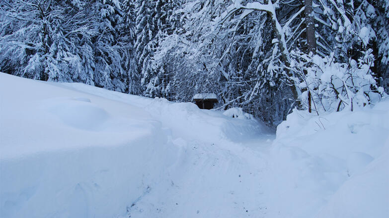Winter Kulm