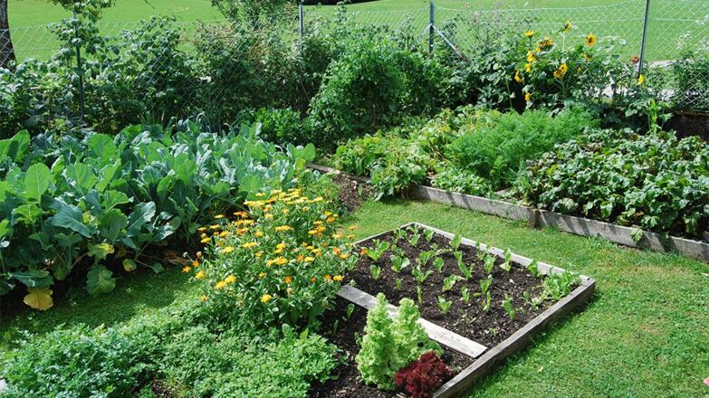 Garten