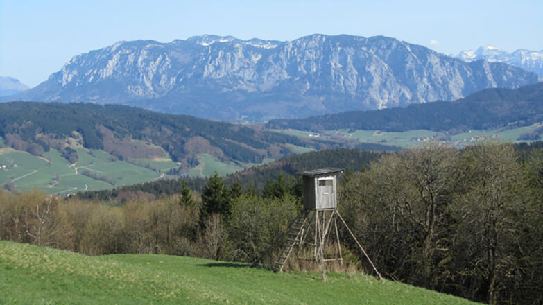 Entdeckungsrunden am Mondseeberg