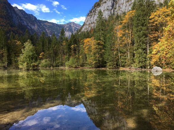 Spiegelung im Koppenwinklsee