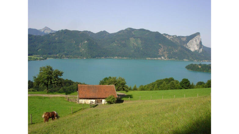 Ausblick