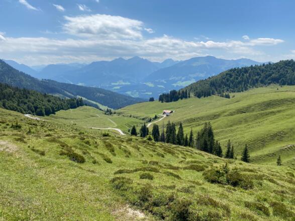Blick über die Almwiesen in Richtung Fieberbrunn und hinüber in die Kitzbüheler Alpen.