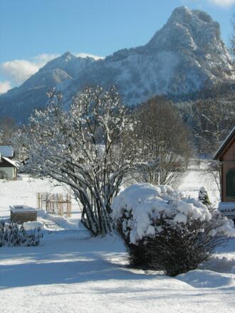 Ausblick auf den Sparber