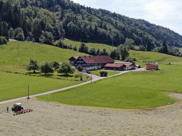 von oben