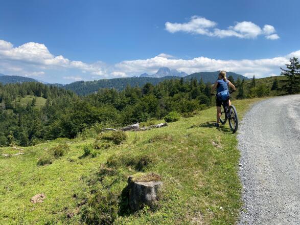 Mit zunehmender Höhe treten auch erstmals die schroffen Loferer Steinberge ins Blickfeld.