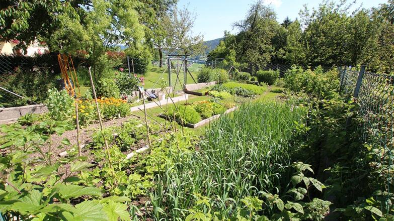 Garten Kulm
