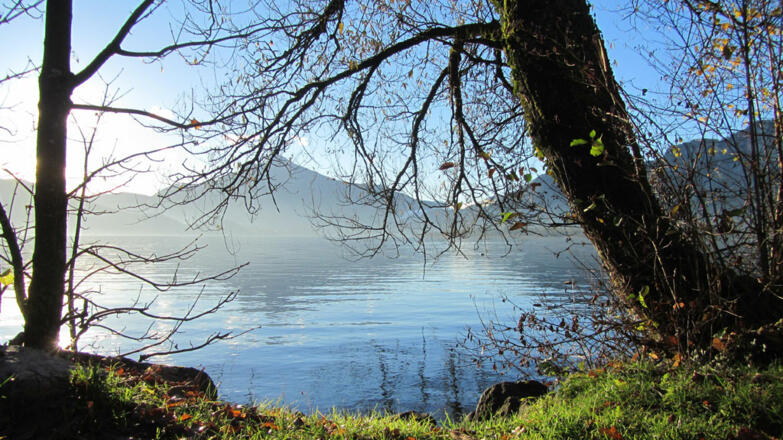 Herbst-/Winterlandschaft