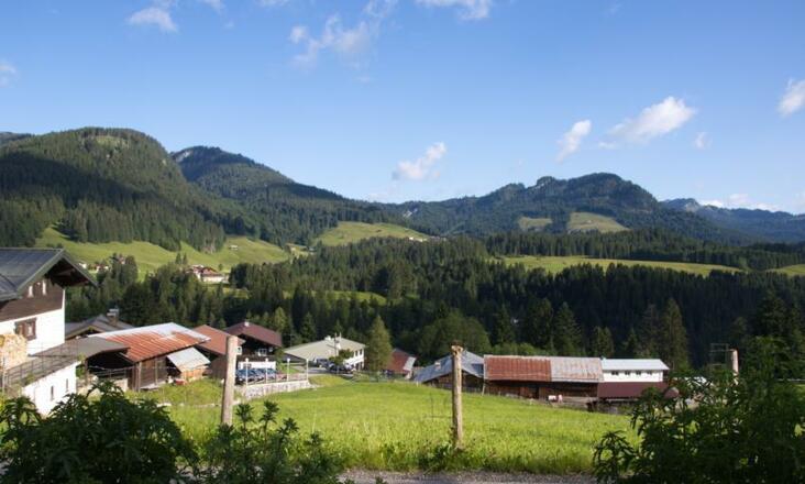 die herrliche Aussicht
