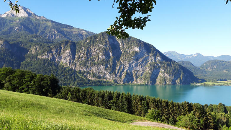 Blick auf den Mondsee