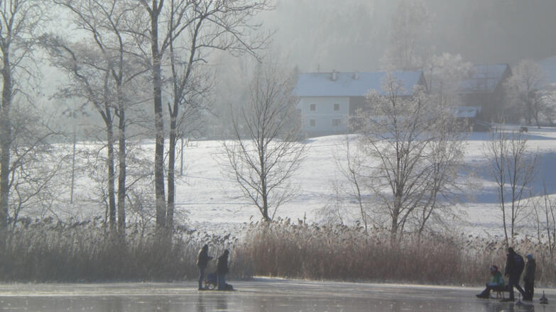 Bauernhof Schink