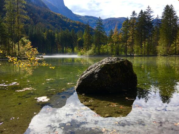 Spiegelung im Koppenwinklsee