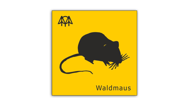 Waldmaus
