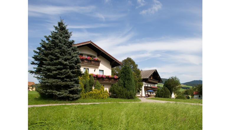 Friedlbauer