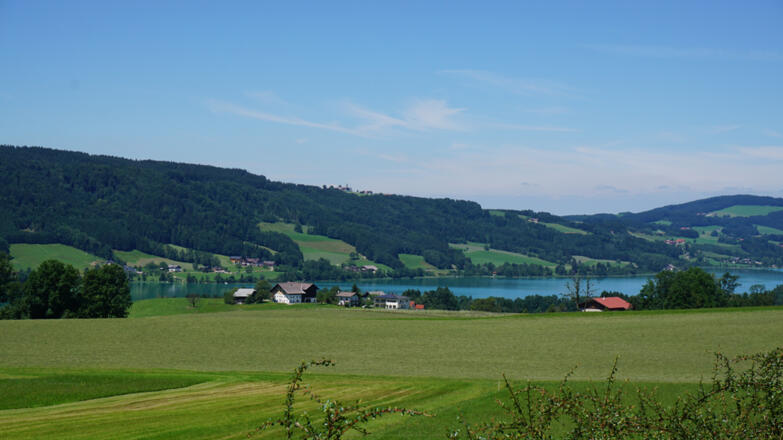 Aussicht