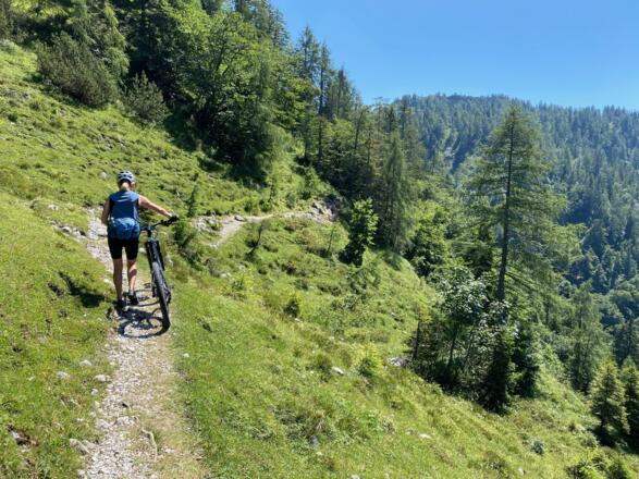 Nach der Gerstbergalm folgt ein offizieller Singletrail, der aber in einzelnen Abschnitten nicht fahrbar ist.