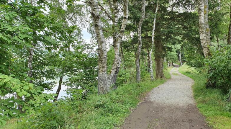 Weg Urlsee Klaffer am Hochficht