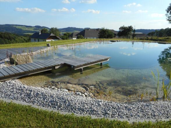 NUssmbaumer_Schwimmteich