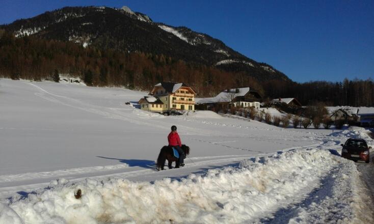 Haus Hödlmoser Ried