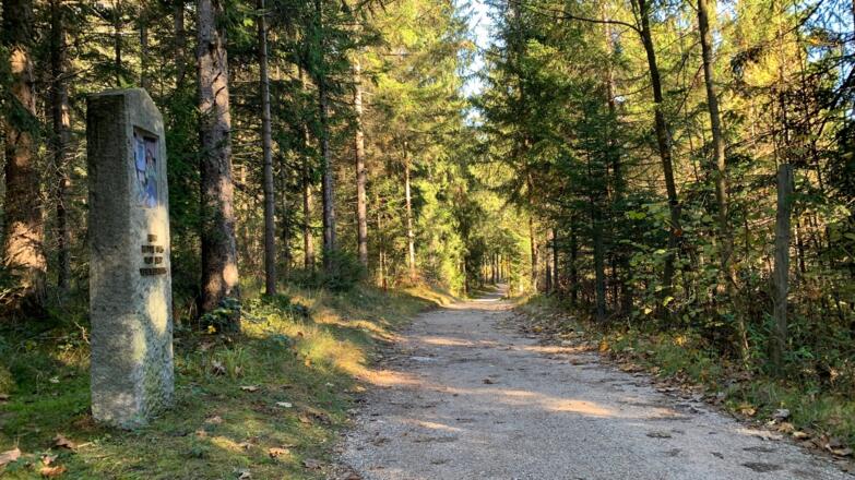 Waldabschnitt der Waldrunde Aktivrunde Münster