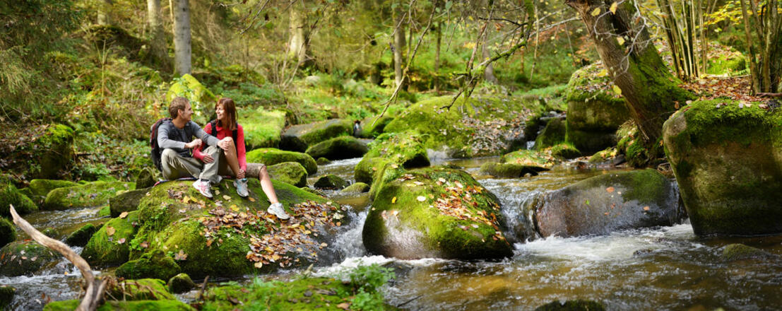 Wanderweg - Das Gewerbe am Fluss
