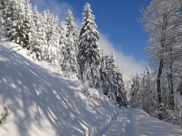 Ferien auf Bergbauernhof Prenn