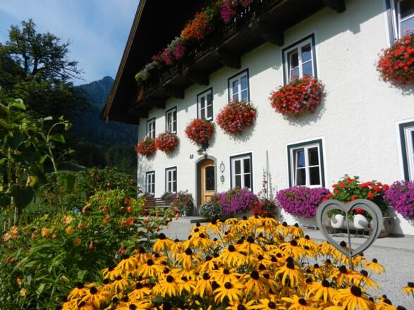 Stadlmannbauer Blumen
