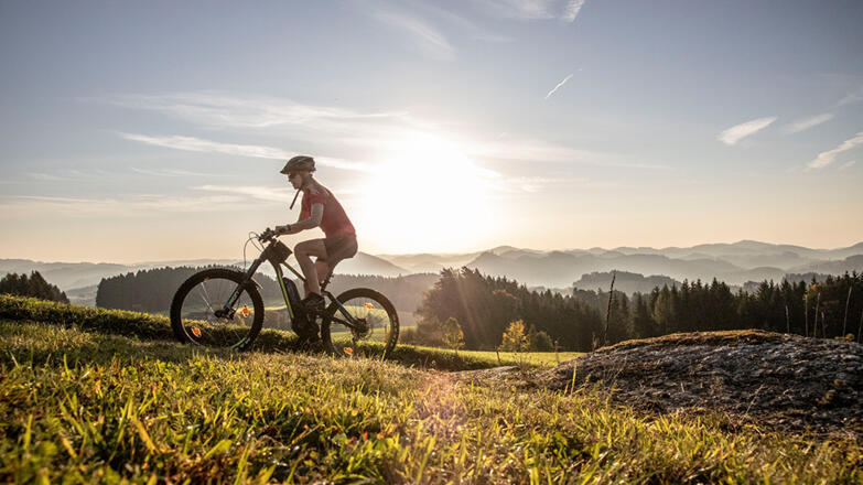 tda3_(c) Robert Diesenreither