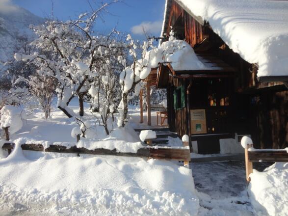 Ferienhaus Ramsau 8