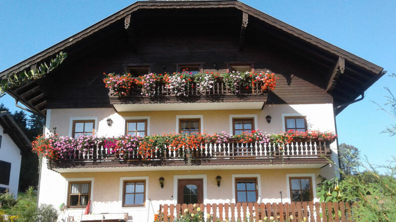 Haus Schafleitner