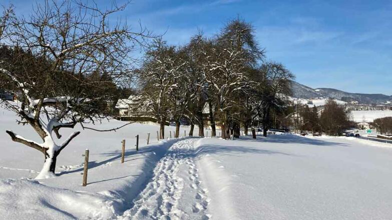Ferienhaus am Mondsee Winter