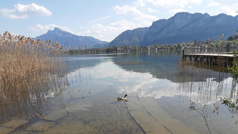 Mondsee