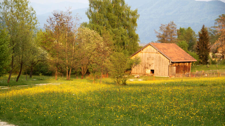 Kulturgut Höribach