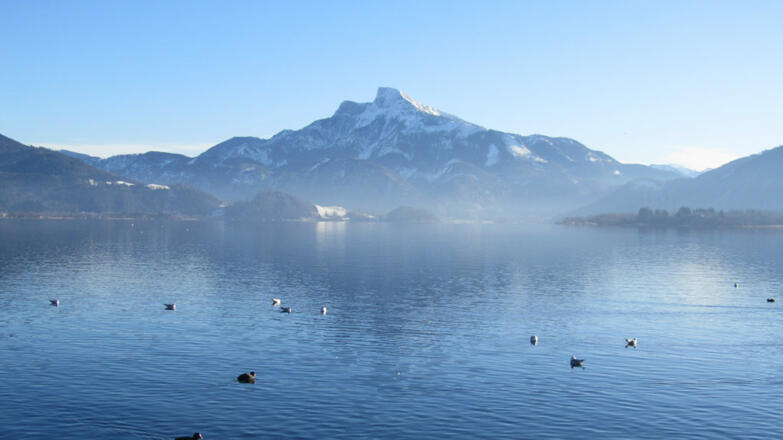Schafberg im Winter