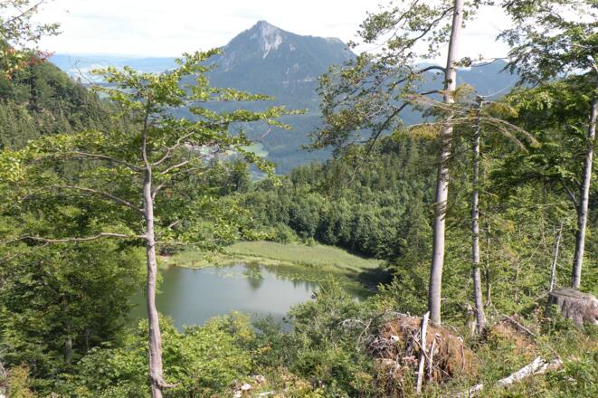 Filblingsee