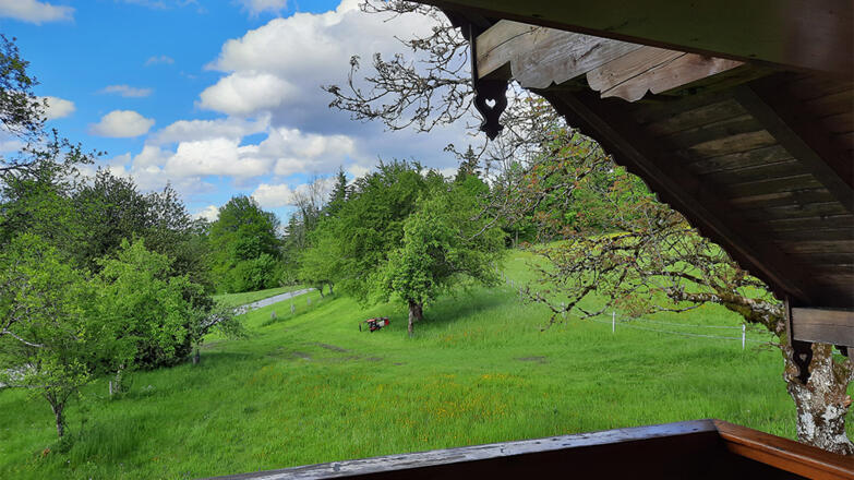 Ausblick vom Balkon