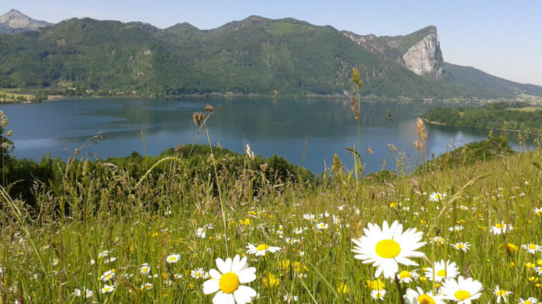 Aussicht