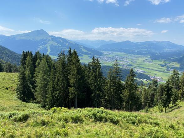 Immer wieder genießt man den Tiefblick auf das Becken von St. Johann i. Tirol und das Kitzbüheler Horn.